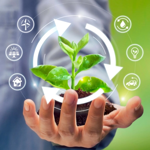 ECOSYST Consultoria Ambiental